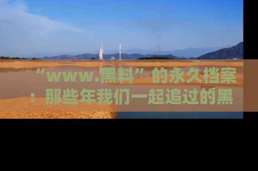 “www.黑料”的永久档案:那些年我们一起追过的黑料真相