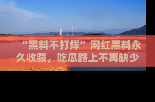“黑料不打烊”网红黑料永久收藏,吃瓜路上不再缺少惊喜与乐趣