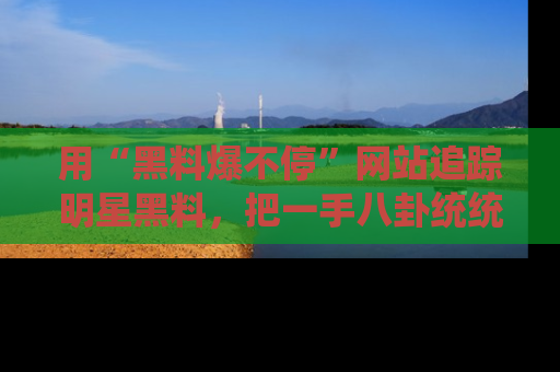用“黑料爆不停”网站追踪明星黑料,把一手八卦统统收进你的后宫中!