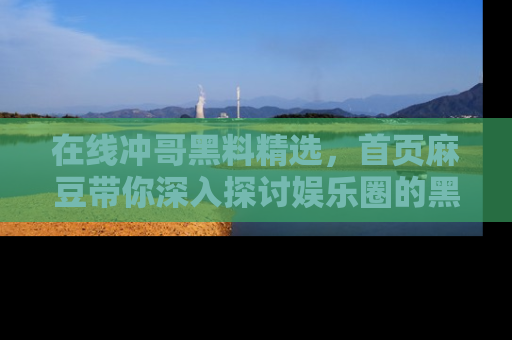 在线冲哥黑料精选,首页麻豆带你深入探讨娱乐圈的黑暗面