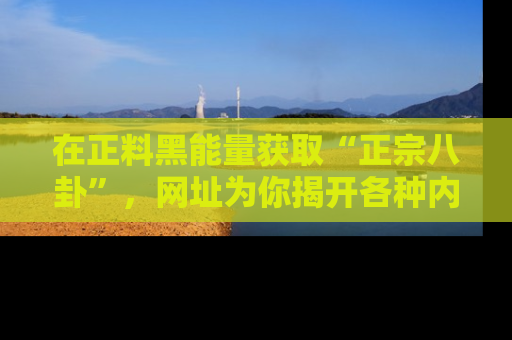 在正料黑能量获取“正宗八卦”,网址为你揭开各种内幕故事!