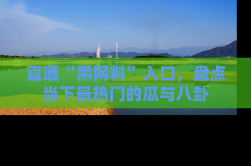 直通“黑网料”入口,盘点当下最热门的瓜与八卦
